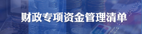 财政专项资金管理清单
